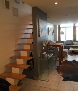 Tres beau loft duplex lyon 7