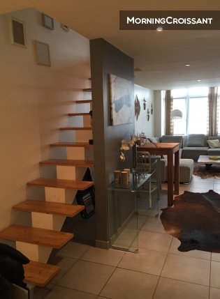 Tres beau loft duplex lyon 7