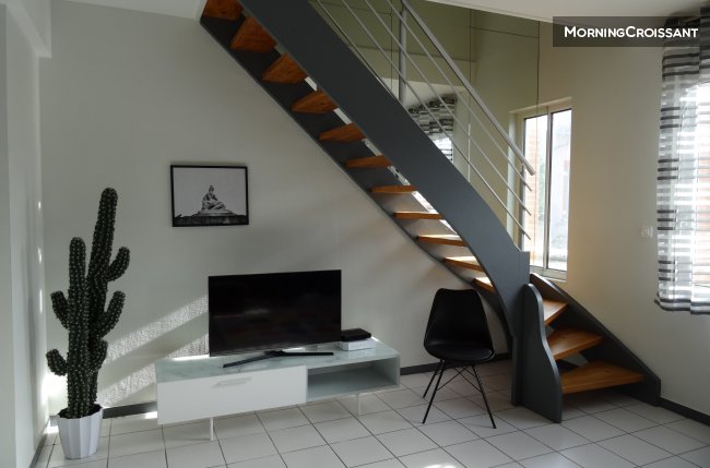 Luxueux et grand T3 à St Cyprien