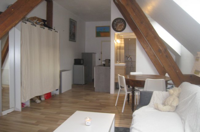 Appartement studio 45 m2