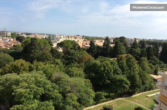 T2 à proximité tram des Arceaux
