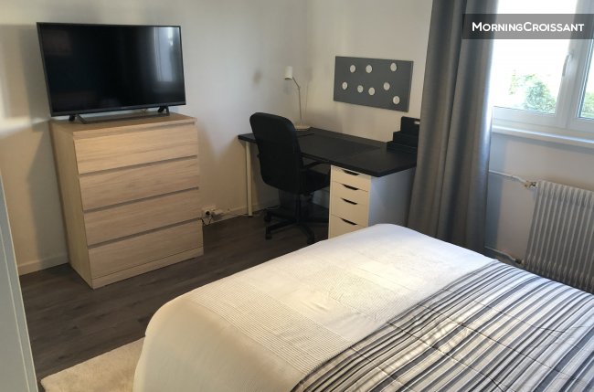 Colocation de standing à Strasbourg