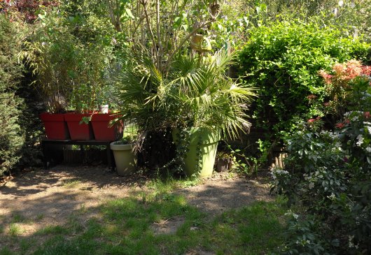 Lyon croix rousse meublé jardin