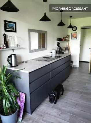 Bel appartement