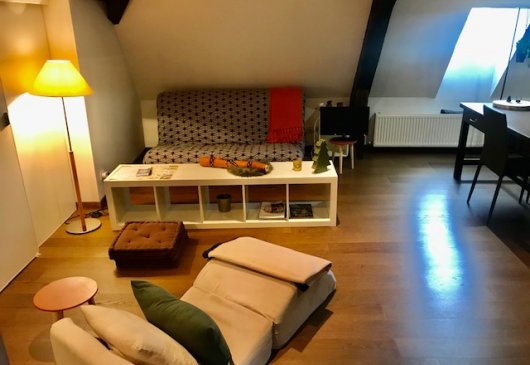 Superbe duplex en hypercentre