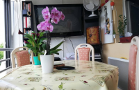 Logement