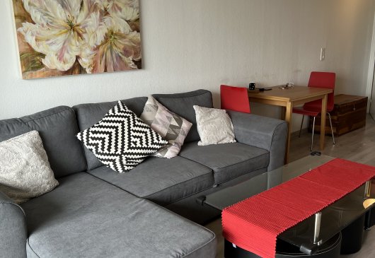 Appartement contemporain