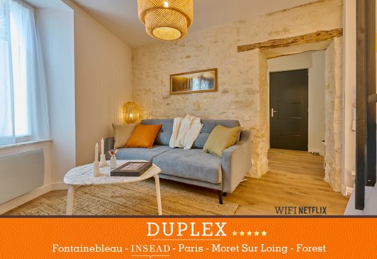 Duplex haut de gamme Fontainebleau