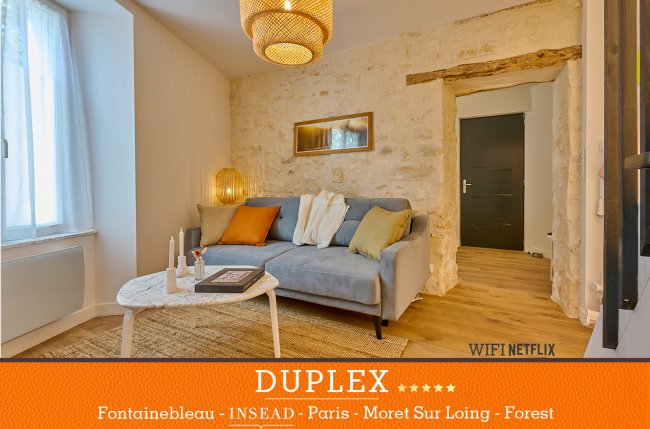 Duplex haut de gamme Fontainebleau