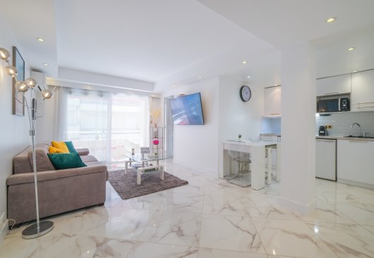 Magnifique Appartement Croisette