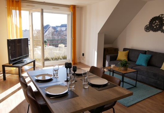 Lumineux F2 meublé 50m² - Parking