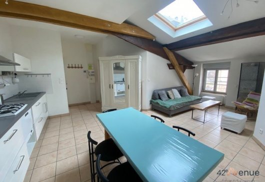 Appartement 3 pce(s) 2 Chambres 47m
