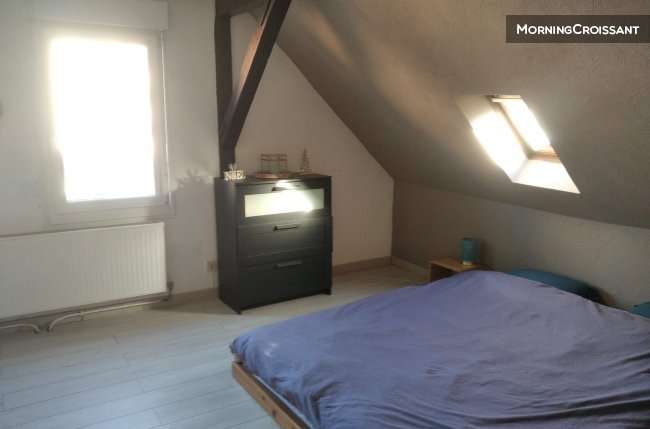 Grand appartement lumineux