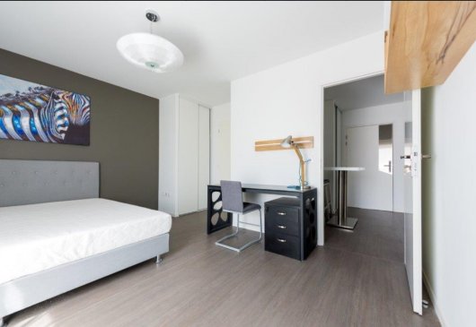 Chambre dans appartement