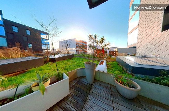 colocation jamet avec terrasse