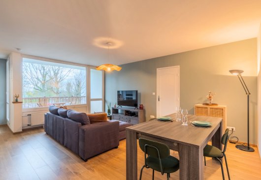 Une chambre + parking