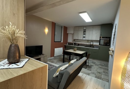 Loft entièrement équipé Perrache