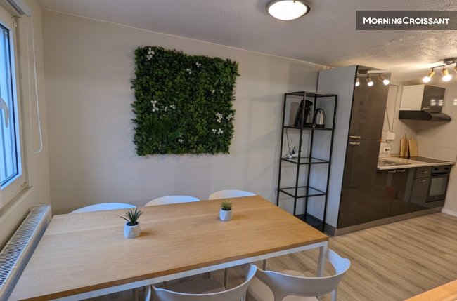 Bail mobilité  : appartement