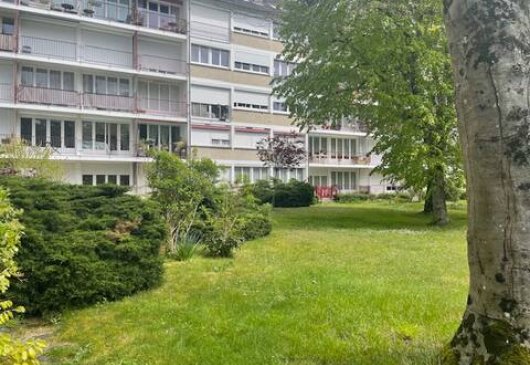 Grand appartement lumineux INSEAD