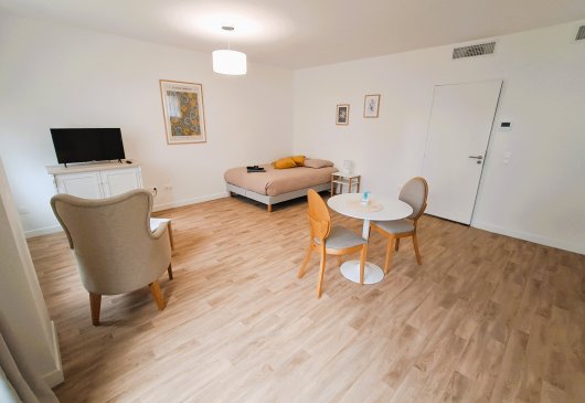 Très beau studio roche centre