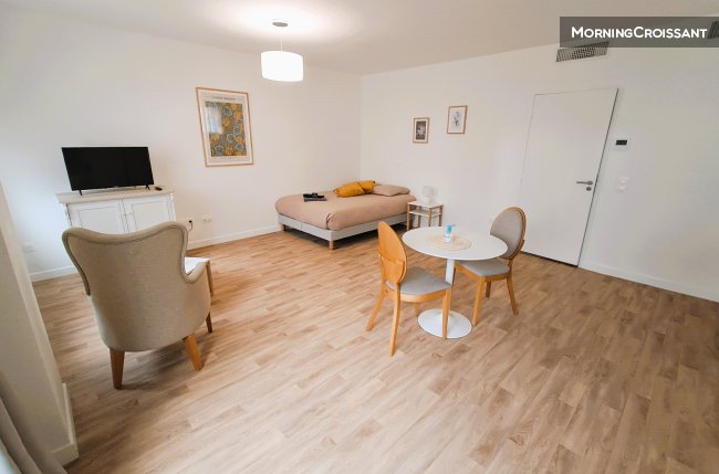 Très beau studio roche centre