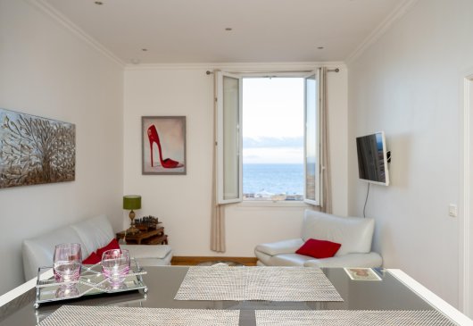 Magnifique vue sur Monaco
