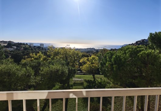 T3 Vue mer Saint antoine