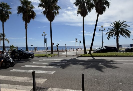 Appartemment Promenade -Tram Magnan