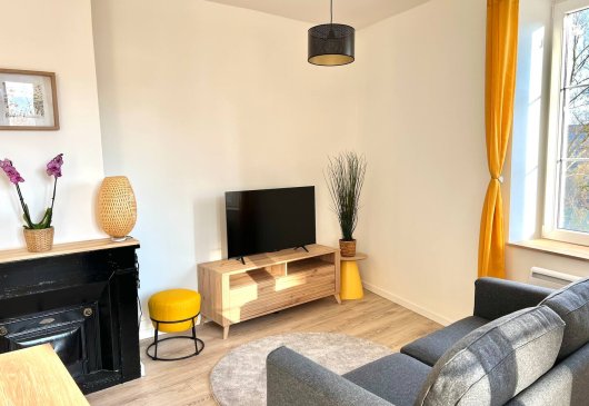 Cité Internationale- T2 - Vue Rhône