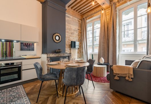 T2 Meublé et équipé Lyon centre