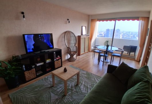 81 m2 -Vue Panoramique Tour Eiffel