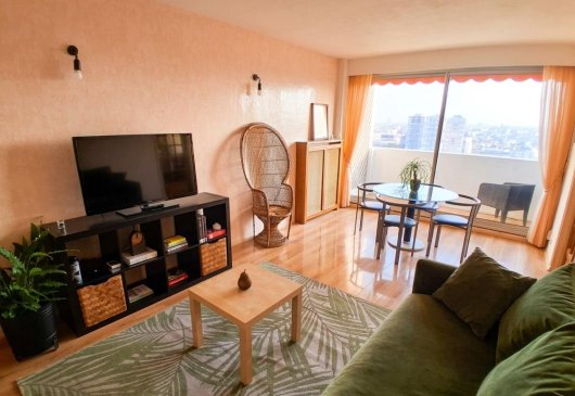 81 m2 -Vue Panoramique Tour Eiffel