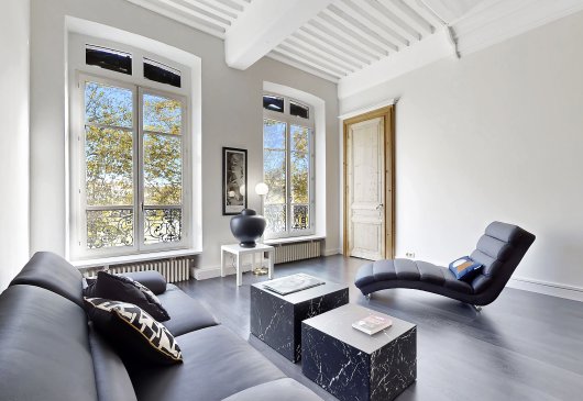 T2 Meublée Vue Rhône Lyon centre