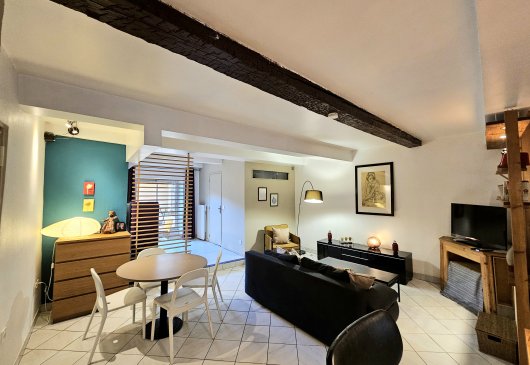 Apt 1 chambre, terrasse et garage