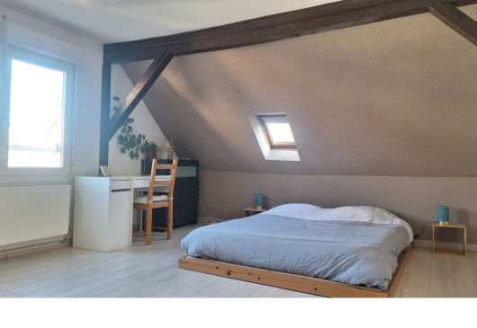 Grand appartement lumineux