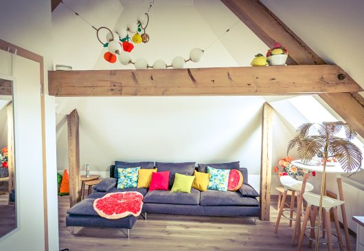 Loft - Grenier à fruits Colmar gare