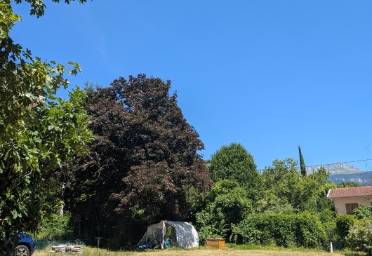 Voiron, "la campagne à la ville"