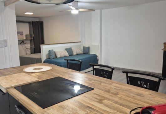 Grand studio meublé rénové