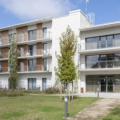 Loueur professionnel